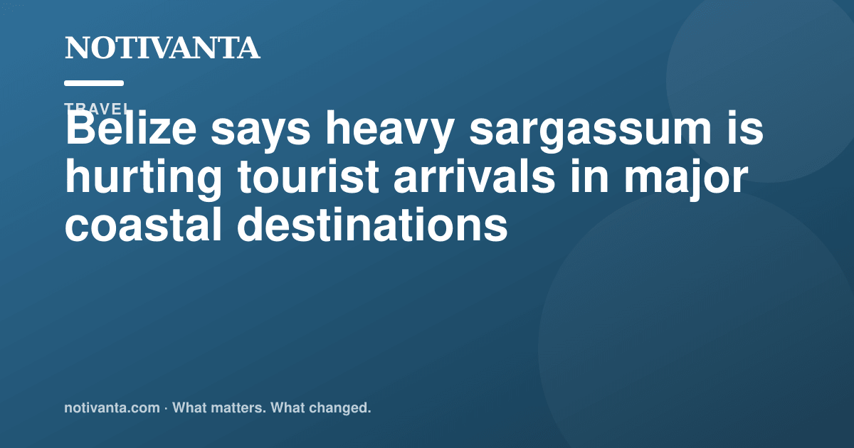 Belize's sargassum problem is hitting tourism share graphic