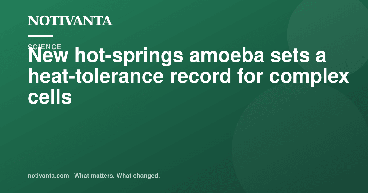This amoeba can divide at 145.4°F share graphic